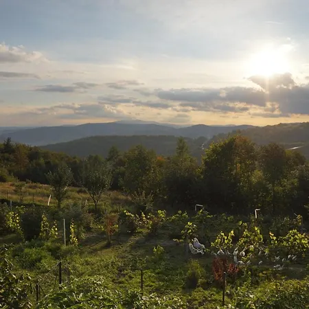 Farmház Dom Przy Lesie Zawadka