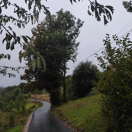 Dom Przy Lesie Zawadka (Myslenice)