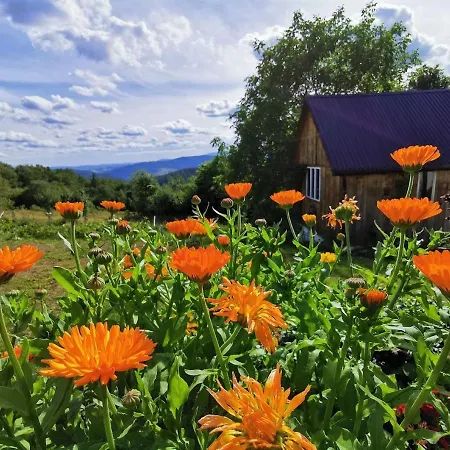 Dom Przy Lesie Farm stay *