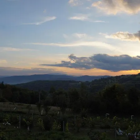 Farmház Dom Przy Lesie *