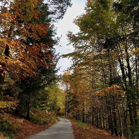 Farm stay Dom Przy Lesie Zawadka (Myslenice)