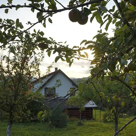 Dom Przy Lesie * Zawadka (Myslenice)