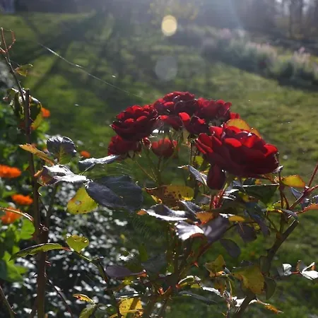 Farm stay Dom Przy Lesie Zawadka (Myslenice)