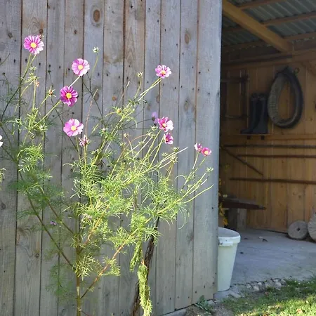 Farm stay Dom Przy Lesie