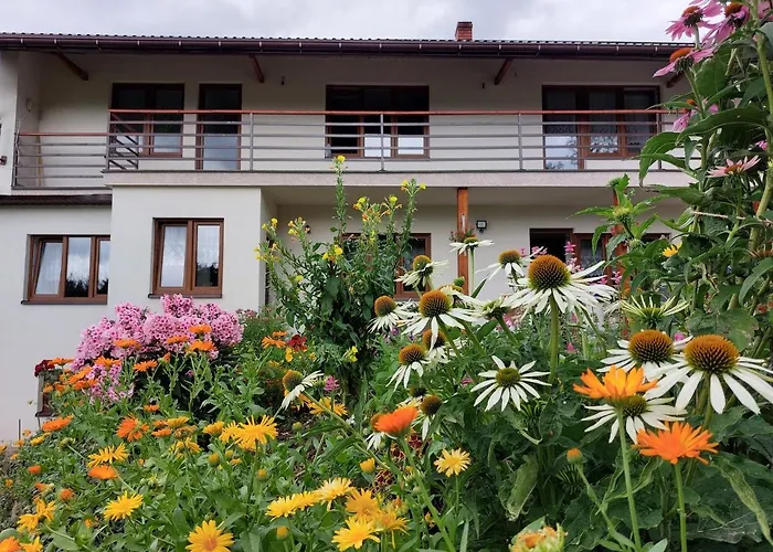 Dom Przy Lesie Gospodarstwo agroturystyczne