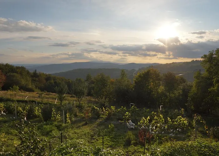 Gospodarstwo agroturystyczne Dom Przy Lesie Zawadka (Myslenice)