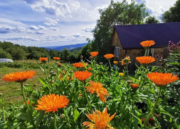 Dom Przy Lesie Gospodarstwo agroturystyczne *