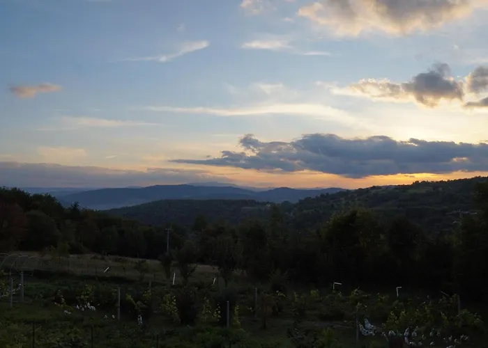 Gospodarstwo agroturystyczne Dom Przy Lesie *