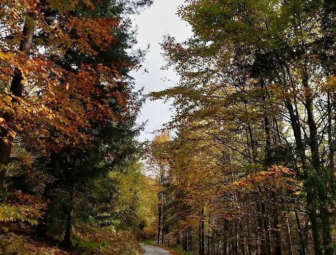 Gospodarstwo agroturystyczne Dom Przy Lesie Zawadka (Myslenice)