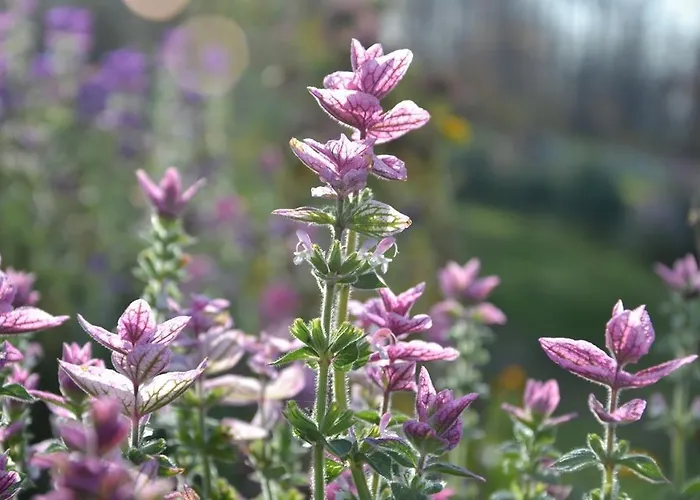 Gospodarstwo agroturystyczne Dom Przy Lesie *