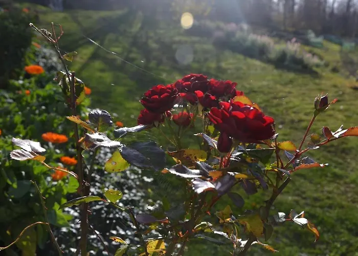 Gospodarstwo agroturystyczne Dom Przy Lesie Zawadka (Myslenice)