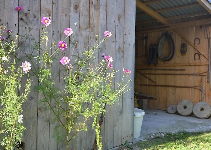 Gospodarstwo agroturystyczne Dom Przy Lesie